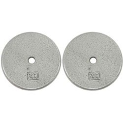 Ader Gray Cast-Iron Standard Plates – 40 lb Pair