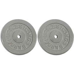 Ader Gray Cast-Iron Standard Plates – 50 lb Pair