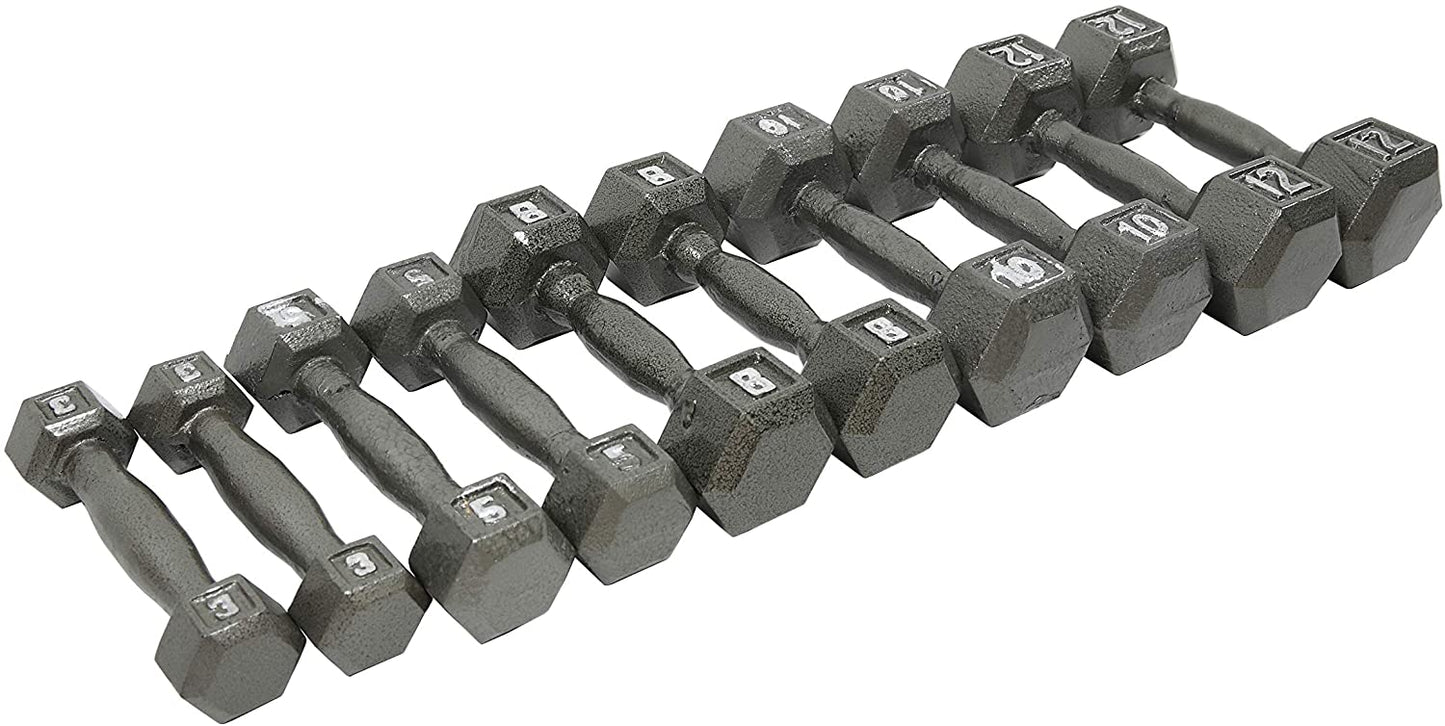 Ader 10Pairs Hex Dumbbells 5-50lb (550lb) and 2-Tier 54" Dumbbell Rack