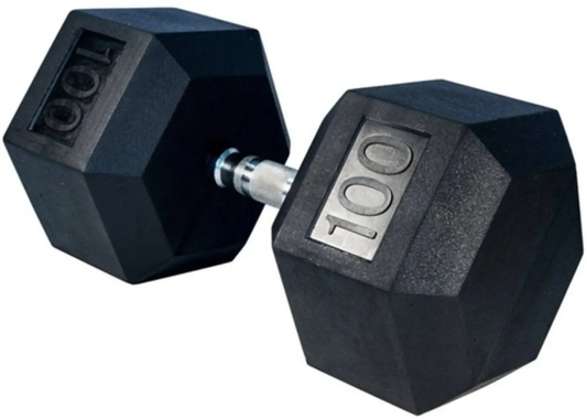 Ader Octagon Rubber Dumbbell (100 lb Pair)