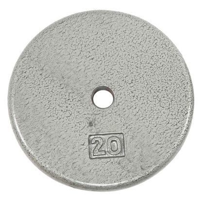 Standard 1" Hole Cast Iron Weight Plate Pair- 20LB, Gray