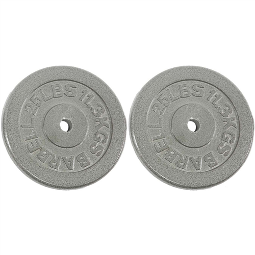 Standard 1" Hole Cast Iron Weight Plate Pair- 25LB, Gray