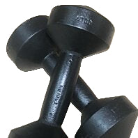 Solid Cast Black Iron Dumbbells - 10 lbs (Sold By Pair)